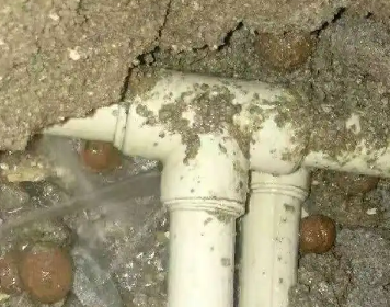 嘉善测漏水多少钱