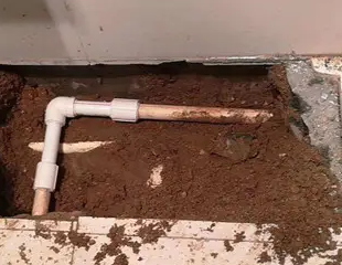 嘉善测漏水哪家好