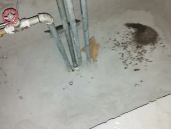 嘉善卫生间测漏水价格明细