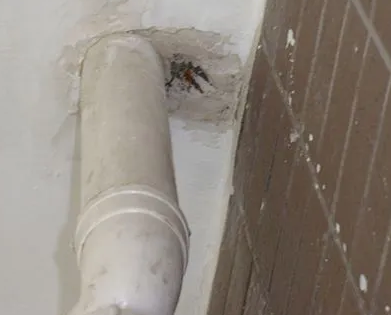 嘉善漏水检测哪家好